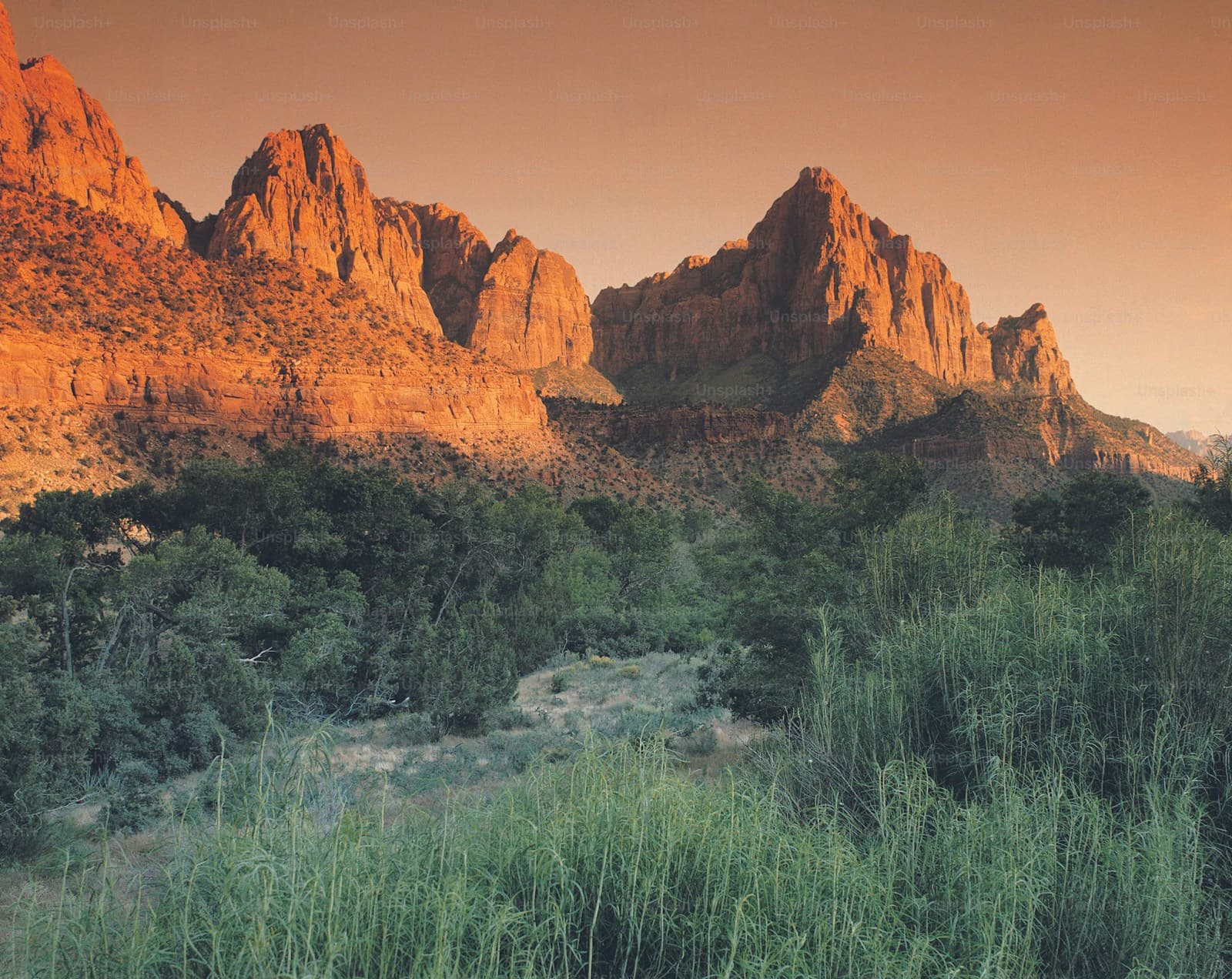 Red sandstone cliffs glowing in golden sunset light with green desert vegetation in foreground